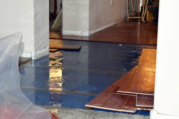 Professional Water Damage Restoration technician working in Adell, WI
